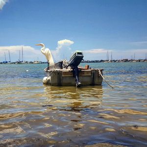 Image post by @visitsarasotacounty on Instagram