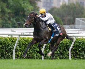 Image post by @thoroughbred_daily_news on Instagram