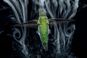 Image post by @natgeo on Instagram