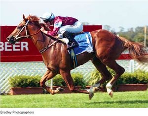 Image post by @australianturfclub on Instagram