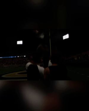 Image post by @zipsfb on Instagram