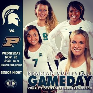 Image post by @msu_volleyball on Instagram