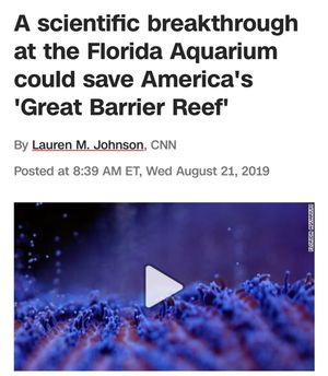 Image post by @cnnclimate on Instagram