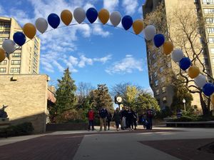 Image post by @hofstrau on Instagram