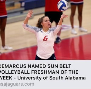 Image post by @bshs_volleyball on Instagram