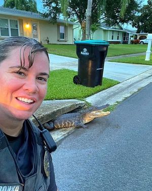 Image post by @palmbaypd on Instagram