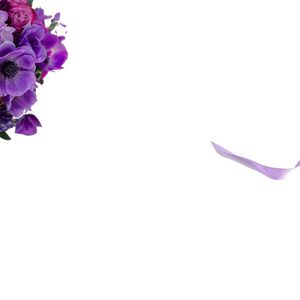 Image post by @shopbachmans on Instagram