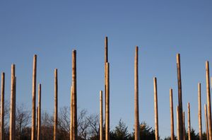 Image post by @sltc99 on Instagram