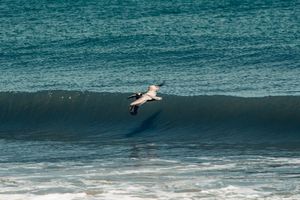 Image post by @brandonlarochelleproductions on Instagram