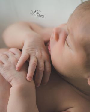 Image post by @rpwphotography_mi on Instagram