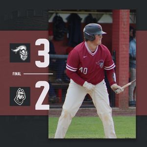 Image post by @arcadia_knights on Instagram