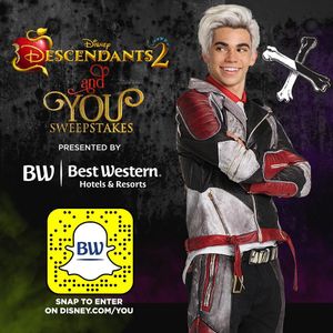 Image post by @bestwestern on Instagram