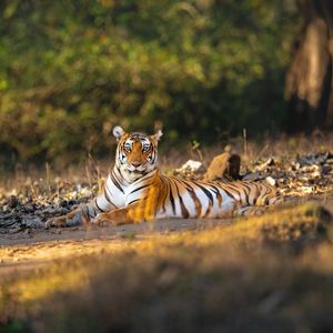 Image post by @discovery on Instagram
