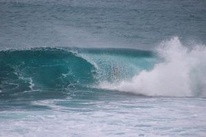 Image post by @wsl.qs on Instagram