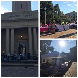 Image post by @lsu_wc on Instagram