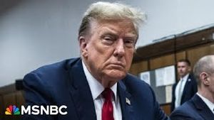 Video post by @msnbc on YouTube