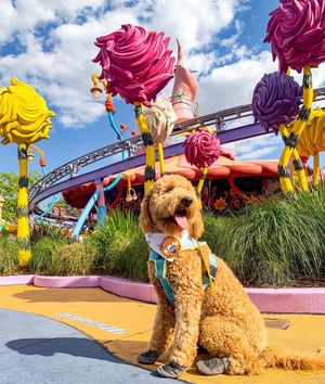 Image post by @universalorlando on Instagram