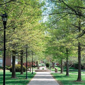 Image post by @marshallu on Instagram