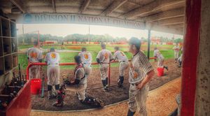Image post by @flaglerbaseball on Instagram