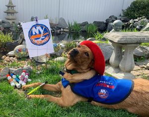Image post by @nyislespup on Instagram