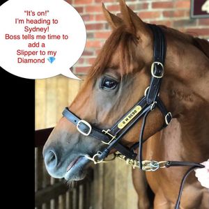 Image post by @australianturfclub on Instagram