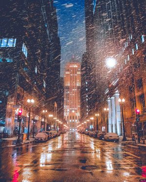 Image post by @willtrogdon on Instagram