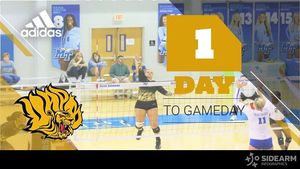 Image post by @uapblionsroar on Instagram