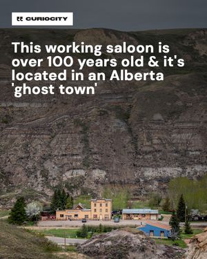 Image post by @curiocitycalgary on Instagram