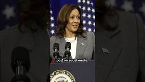 Video post by @msnbc on YouTube