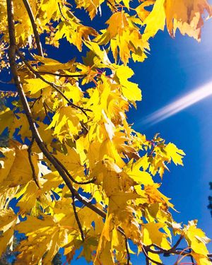 Image post by @nauflagstaff on Instagram
