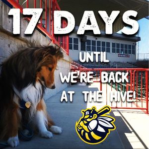 Image post by @burlington_bees on Instagram