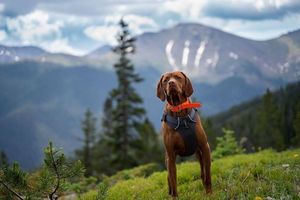 Image post by @winterparkresort on Instagram