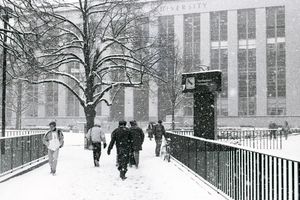 Image post by @northeastern on Instagram