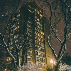 Image post by @hofstrau on Instagram