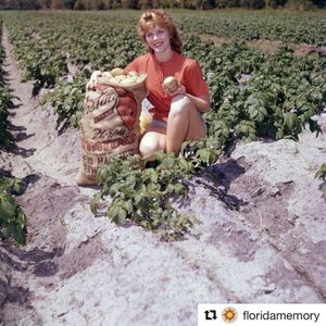 Image post by @stjohnscountylibrary on Instagram