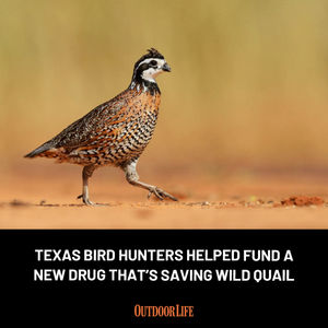 Image post by @outdoor_life on Instagram