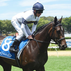Image post by @australianturfclub on Instagram
