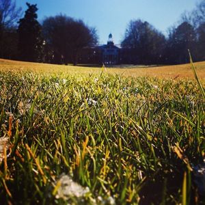 Image post by @elonuniversity on Instagram