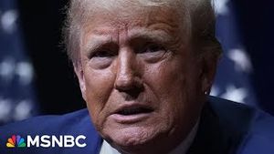 Video post by @msnbc on YouTube