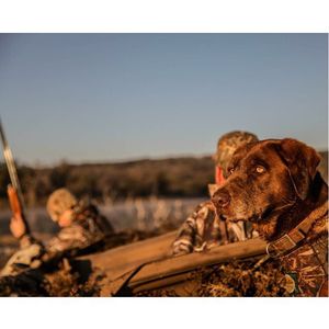 Image post by @nextridgemedia on Instagram