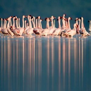 Image post by @discovery on Instagram