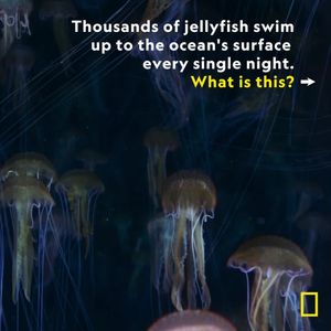 Image post by @natgeo on Instagram