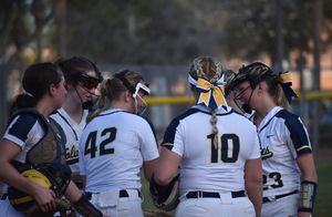 Image post by @umdearbornsoftball on Instagram