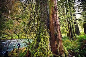 Image post by @meateater on Instagram