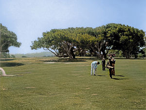 Image post by @pebblebeachresorts on Instagram