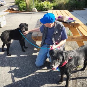 Image post by @spokhumanesoc on Instagram