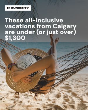 Image post by @curiocitycalgary on Instagram
