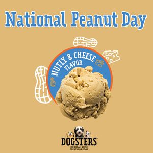 Image post by @dogstersicecream on Instagram