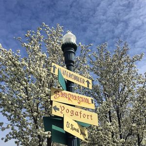 Image post by @treefortfest on Instagram