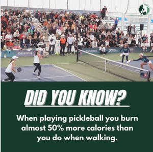 Image post by @thepickleballclinic on Instagram